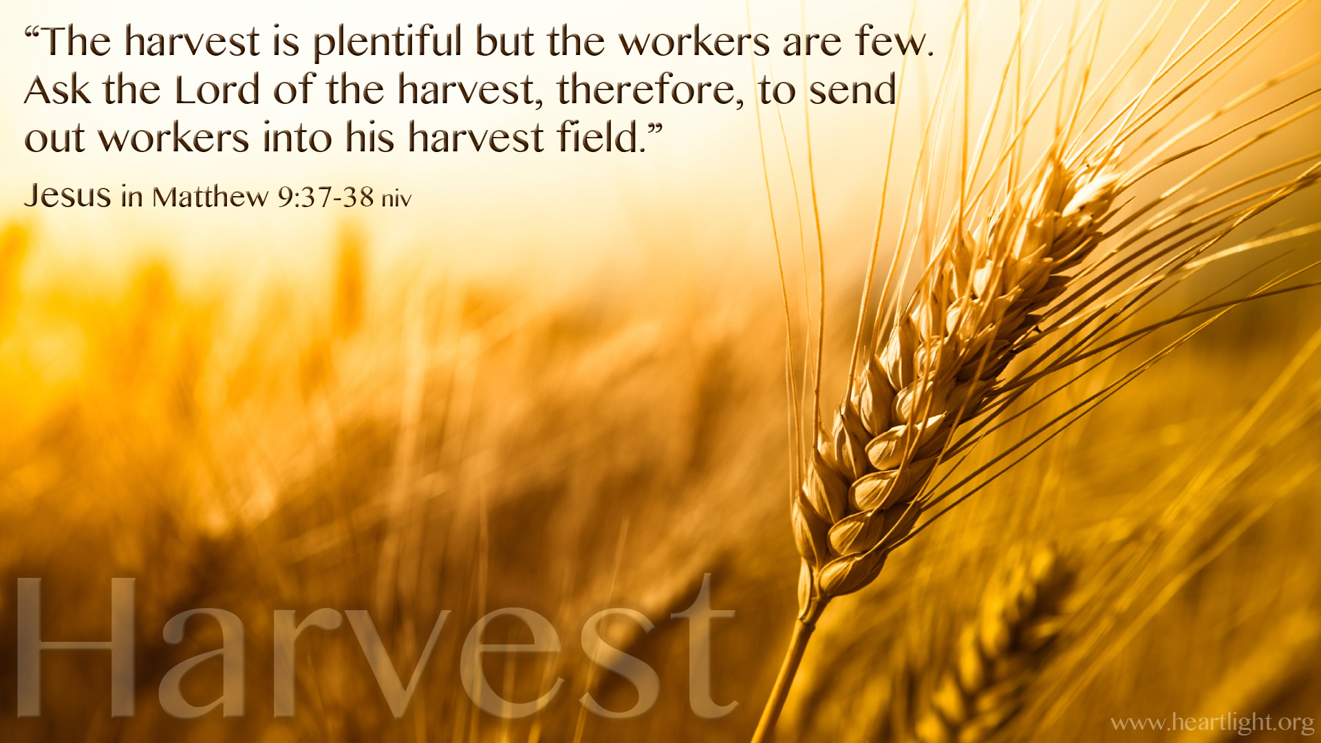 Sunday Worship 12th of October 2025, “Good news!”